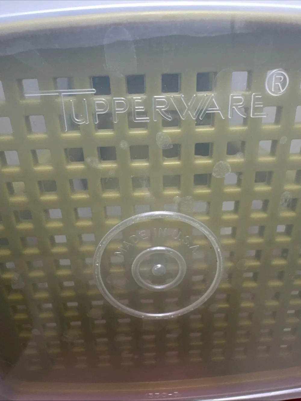 Vintage Tupperware Pickle or Olive Keeper